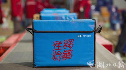 从“拼速度”到“比绿色” 湖北快递业以5300万旧纸箱复用刷新环保标杆